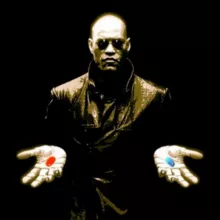 Дивергент - здесь твоя свобода 🦅