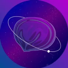 Пельмень sfs