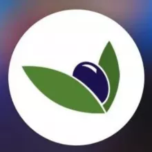 Ministerio Pasión por la Verdad