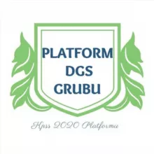 Platform DGS Grubu