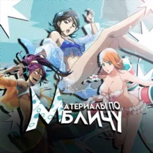 материалы по бличу|аниме