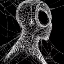 Spider Trader