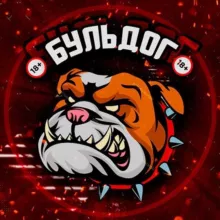 Бульдог (gif & video)