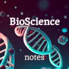 BioScience notes