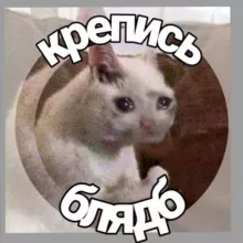 Крепись