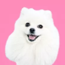 Касси 🎀