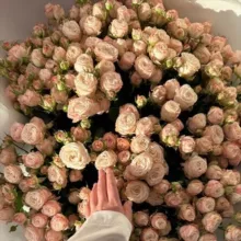 С любовью А💖