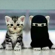 Nasheedsguraba2023 نشيد