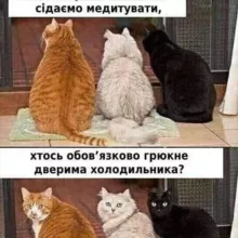 Тут будуть котики. Та інше.