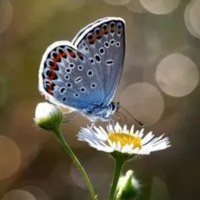 🌿 ЖИВАЯ ПРИРОДА🌿