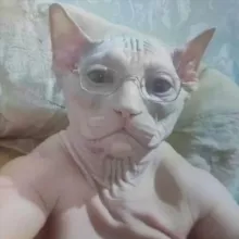 БЛОГ СКАМ АДМИНА