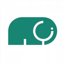 Зелёный слон