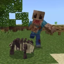 Переезд (курага)