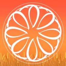 Татьяна Аврова. Любимые рецепты