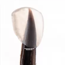 Клуб Зубной техник