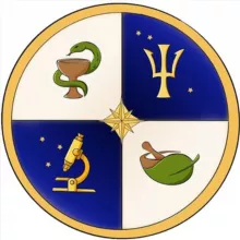 ✨ Bio-Essentia 🍄🌿☘️🌾✨