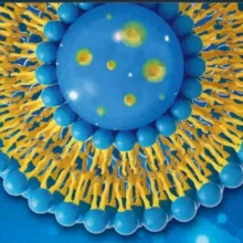 Истории здоровья ☘️ Адженис