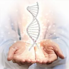 ДНК 🧬 Души