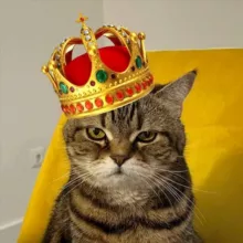 Меховая Картошечка