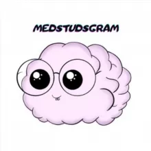 medstudsgram