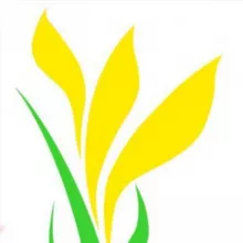 Интернет-газета Степные вести | Новости