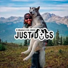 Just Dogs