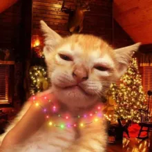 ЯдерныеХуесосы