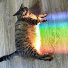 Просыпайся