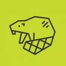 CyberBeaver – консультации по цифровой безопасности