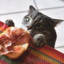 Людмила Плеханова Готовим вместе (Еда. Рецепты. ЮМОР)