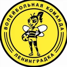 Волейбольная команда «Ленинградка»