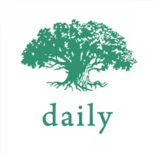 Толдот Daily — ежедневная алаха