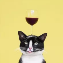 Мемы подружки