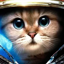 Коммунистический Кот Александра Коммари