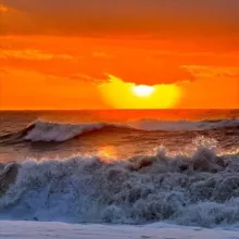 Golden Nutraceuticals