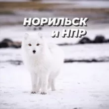 Норильск • Талнах • НПР