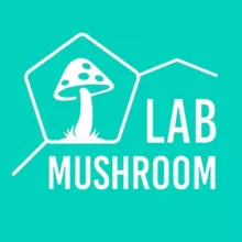🍄 Mushroom Lab