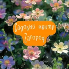 Zaгород 🌿 Уссурийск