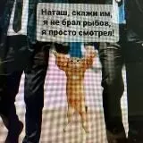 Евромолл рулит