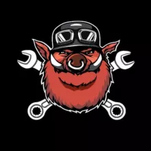 Свин Анархии 1% moto news