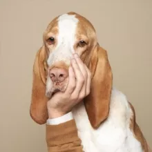 Amazing animals 🦋