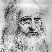 Борода da Vinci