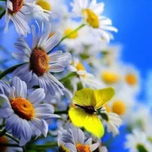 Доброе утро 🍀