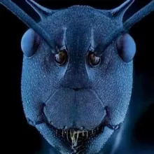 Микроскоп | МакроМир