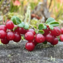 Будни Олега. Живу в деревне💥