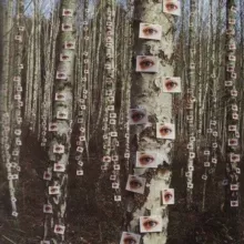 глазная доза (переходник)