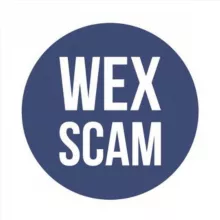 Wex.nz Инициативная Группа