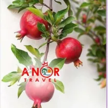 ANOR TRAVEL GROUP