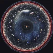 Микрокосмос