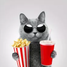 TONYFILM - Фильмы | Сериалы